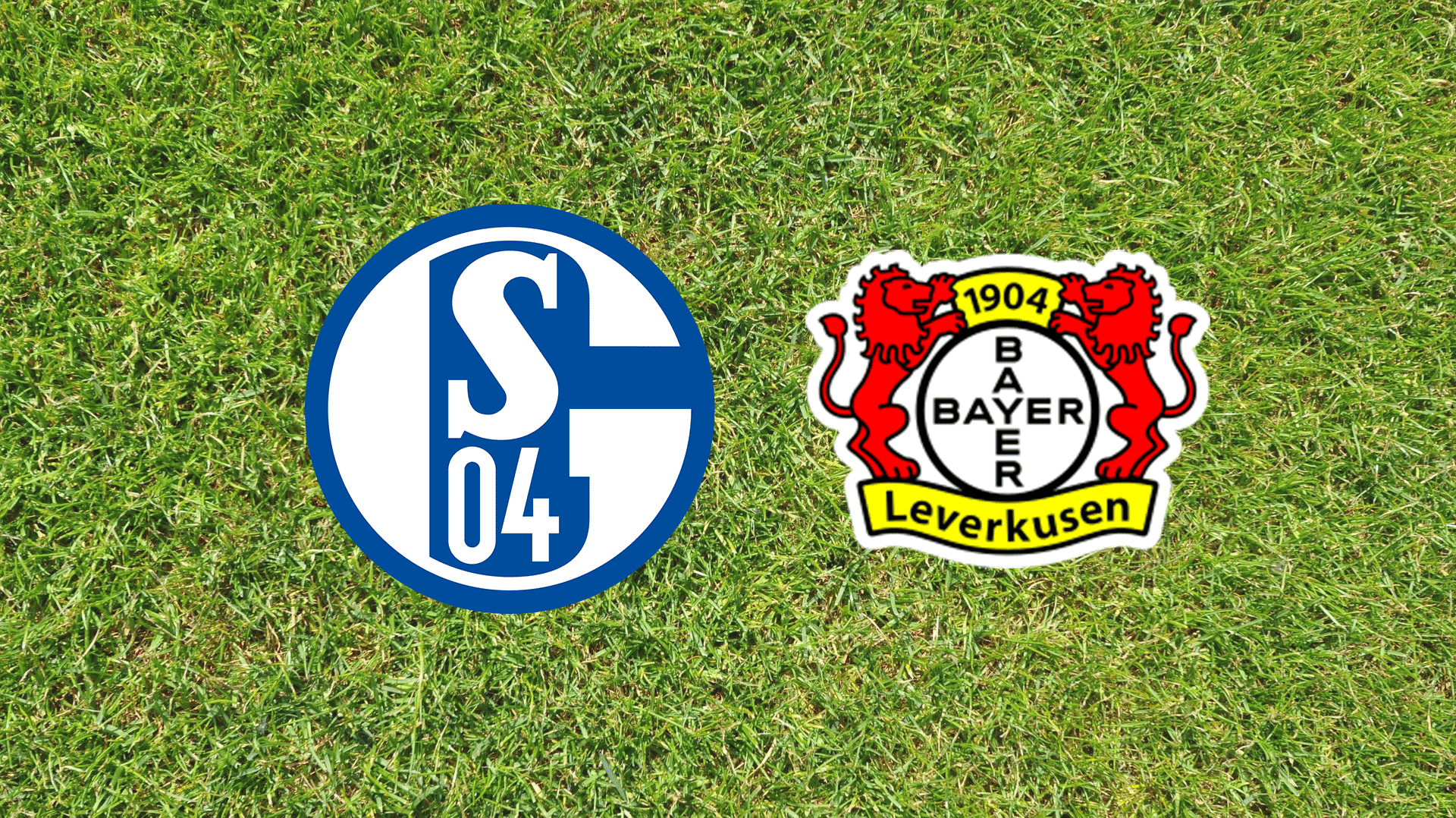 Schalke Leverkusen Infos zu gratis Livestream & live TV