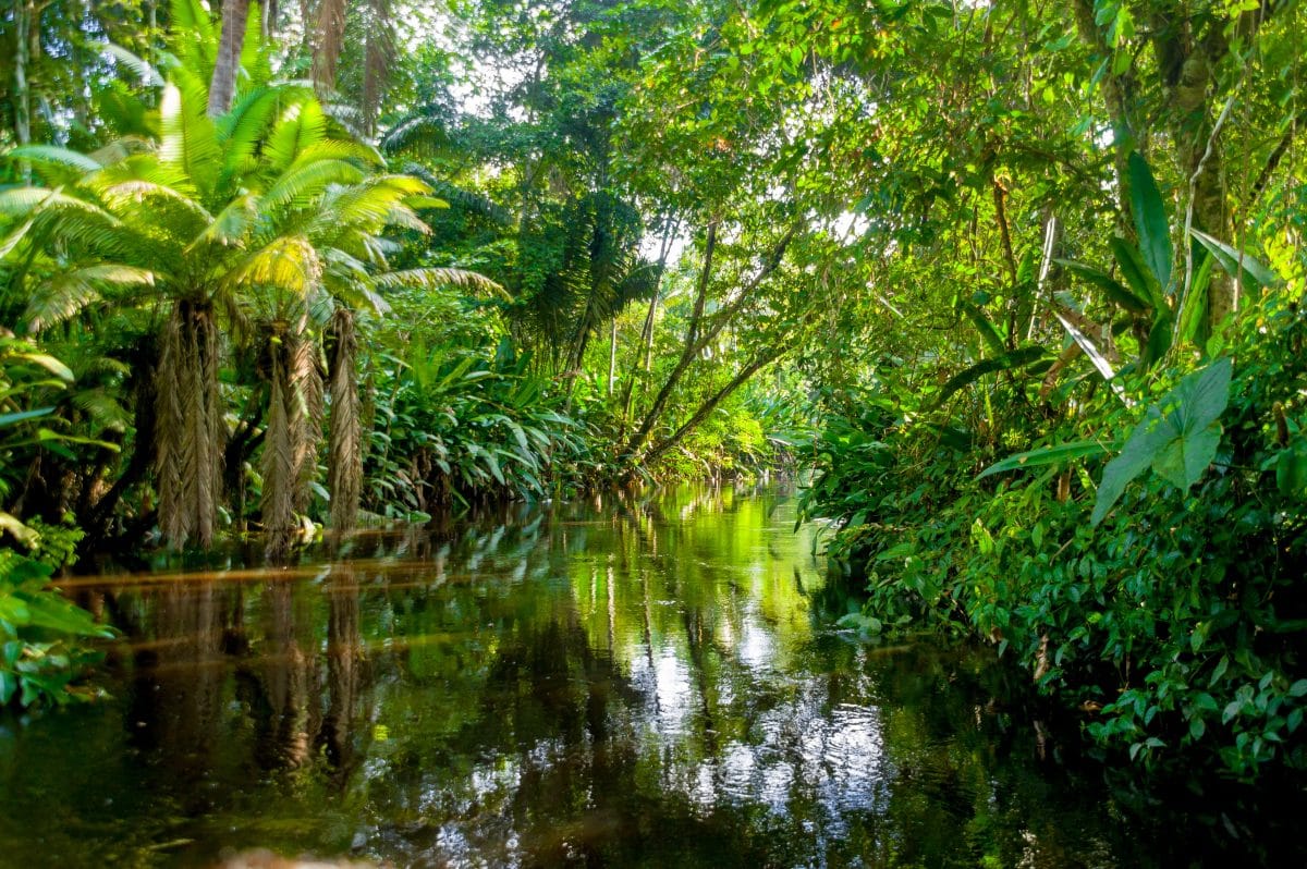 Krankenhausschiff im Amazonasgebiet hilft indigener Bevölkerung während Corona