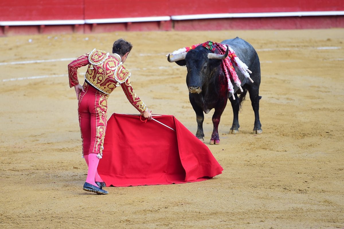 Stierkämpfe in Spanien nach Corona-Pause wieder erlaubt