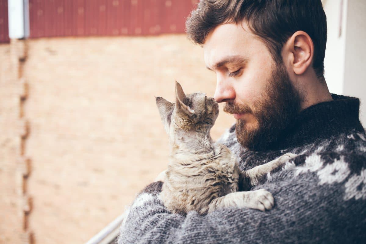 Studie: Frauen finden Männer mit Katzen unattraktiver