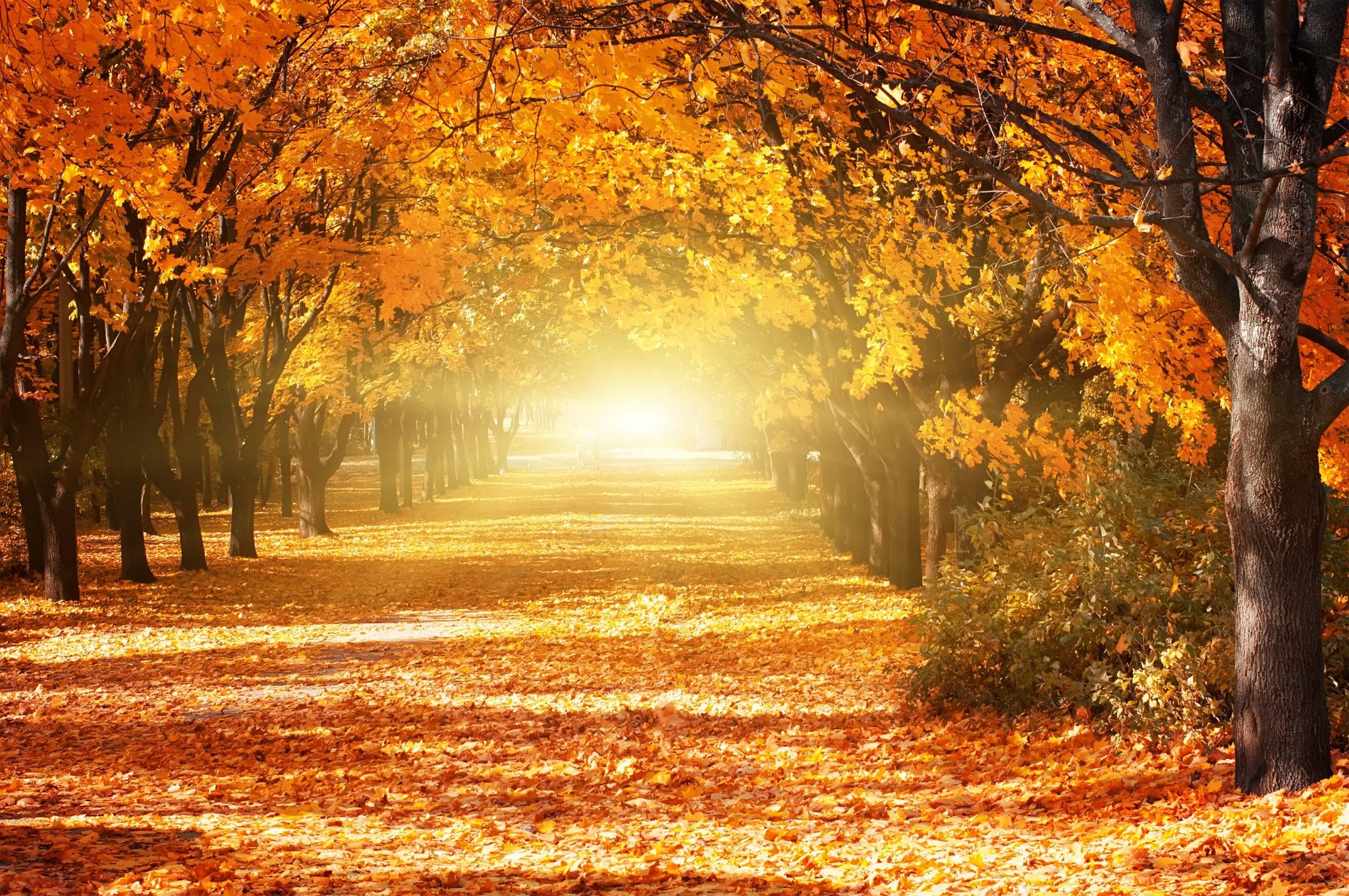 6 Tipps F r Den Perfekten Kurz Urlaub Im Herbst 6 Tipps F r Den Perfekten Kurz Urlaub Im Herbst