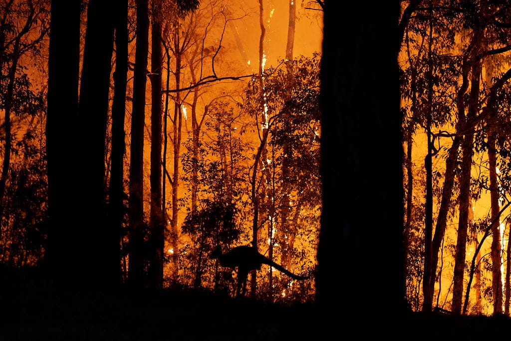 In Australien lodert das erste große Buschfeuer