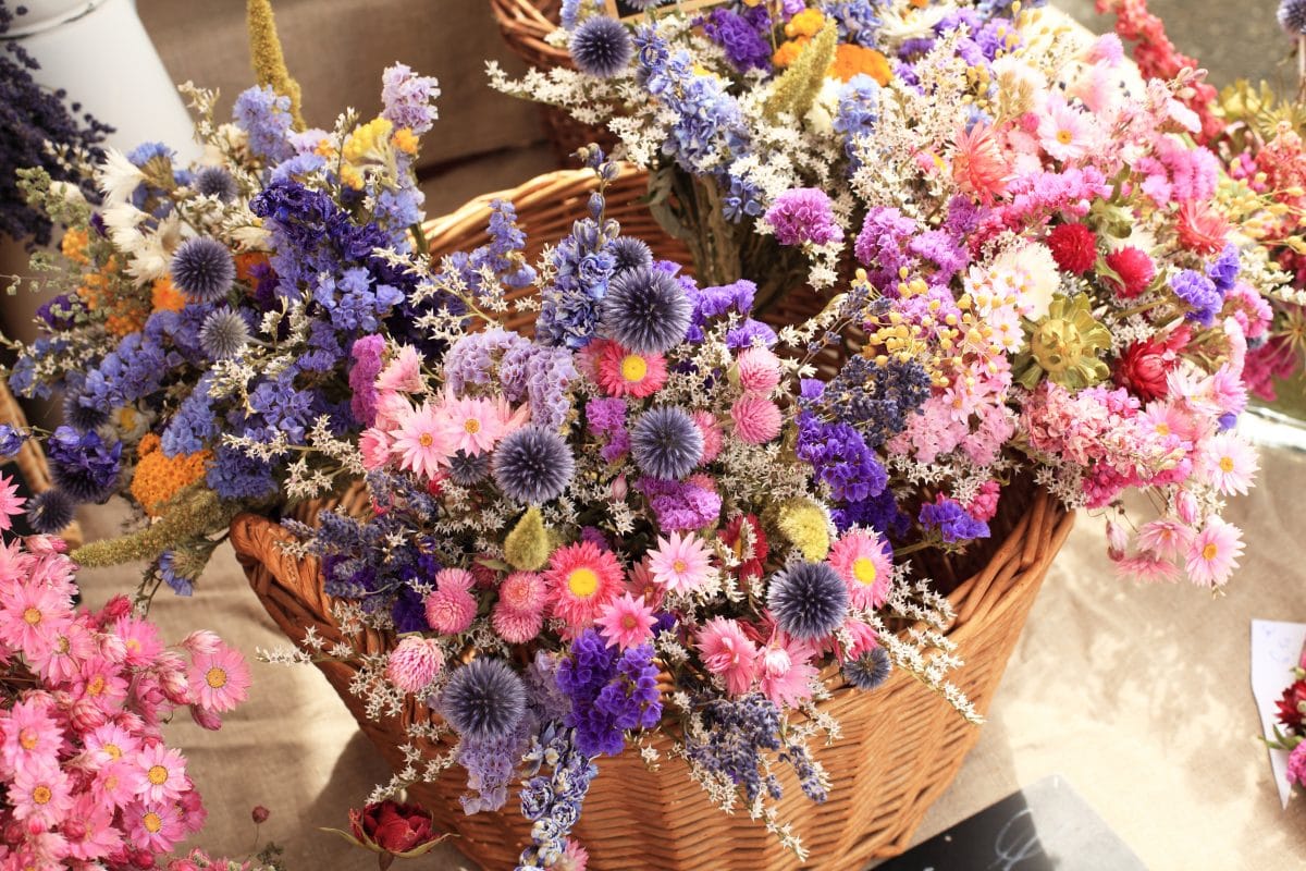 Dried-Flowers sind DER Deko-Trend im Sommer 2020