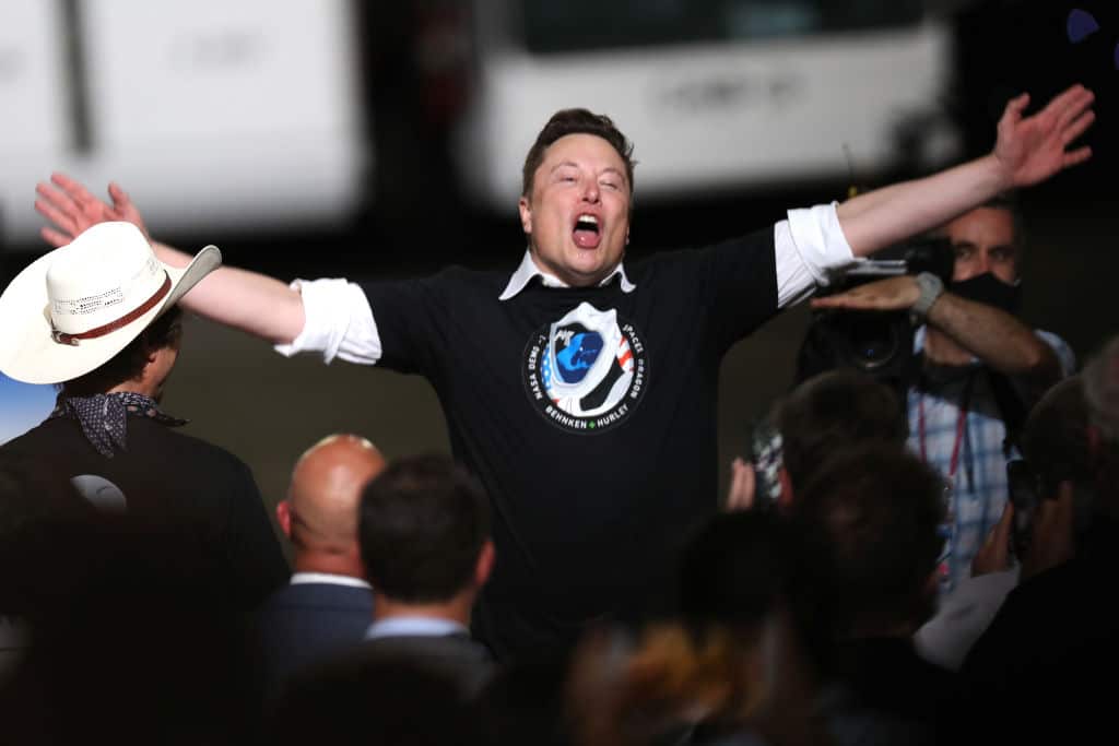 Elon Musk präsentiert „Cyborg-Schwein“ Gertrude