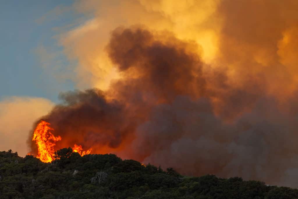 Wurden die Waldbrände in Kalifornien durch ein defektes Fahrzeug ausgelöst?