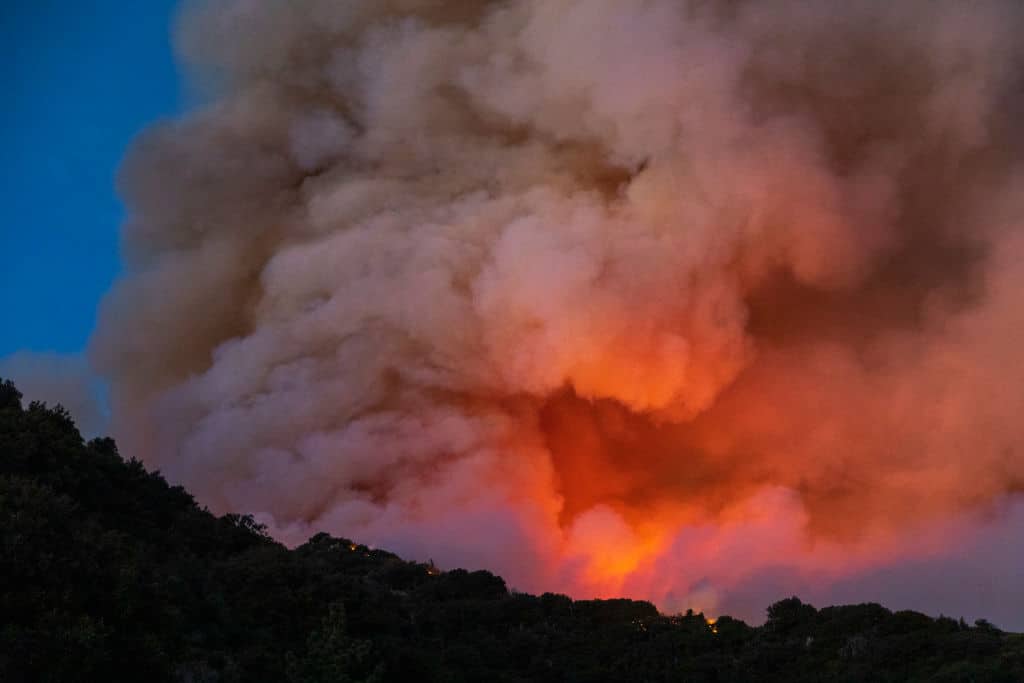 Waldbrände führen zu Notstand in Kalifornien