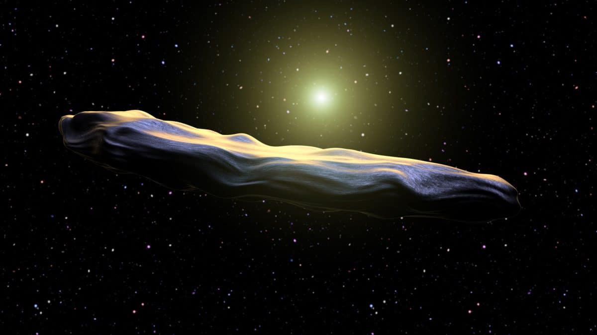 Oumuamua: Außerirdisches Objekt könnte fliegende Wollmaus sein