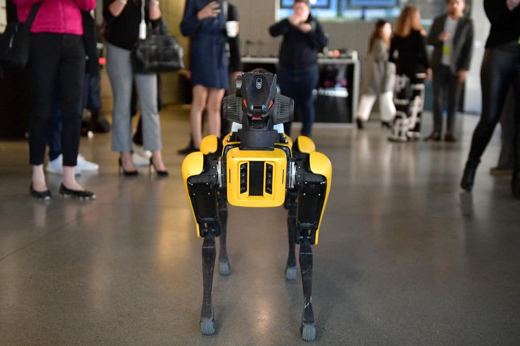 Roboterhund soll Corona-Patienten untersuchen