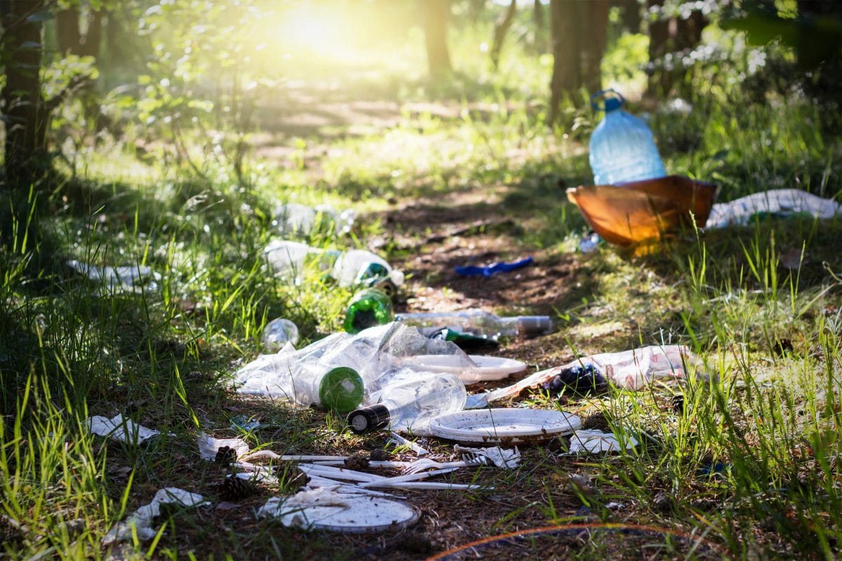 Thailand: Nationalpark schickt Müll an Camper zurück