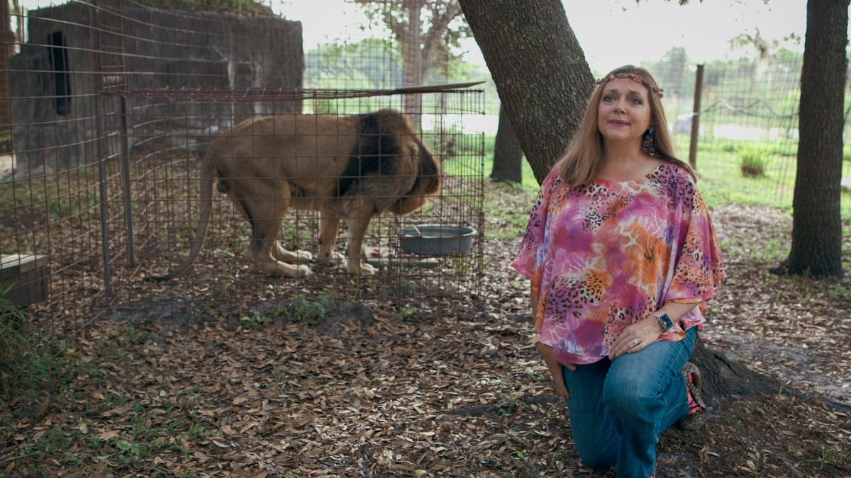 „Tiger King“-Star Carole Baskin von Familie ihres vermissten Mannes verklagt