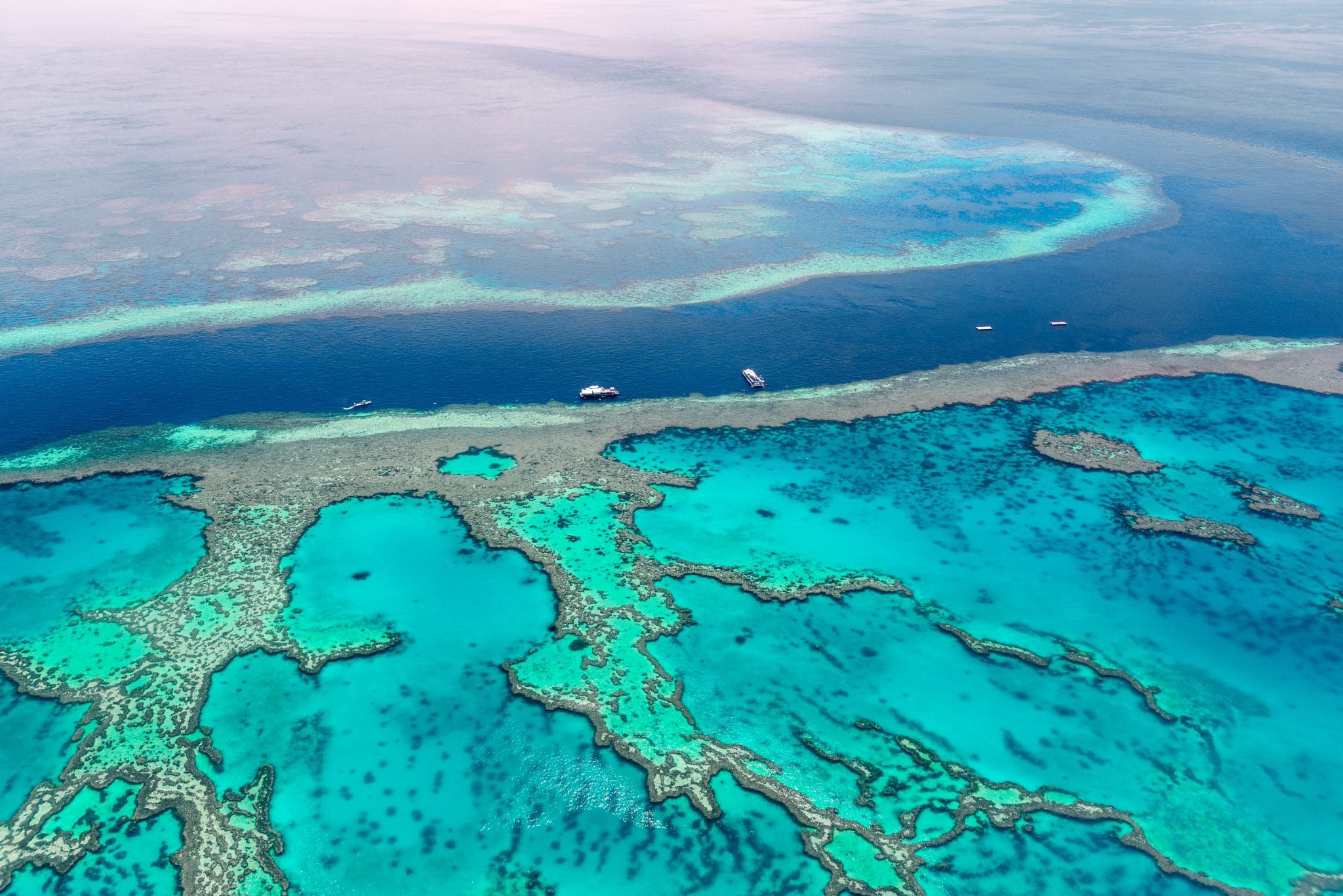 Bedrohtes Naturwunder Great Barrier Reef verlor bereits die Hälfte