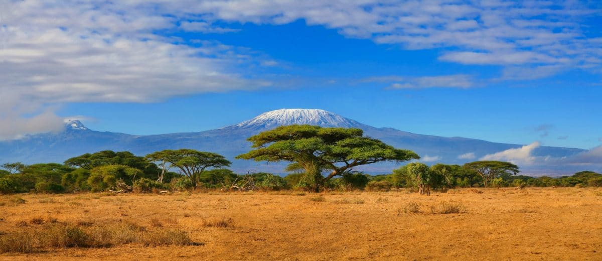 Kilimandscharo-Brand endlich eingedämmt: Jetzt sucht man nach der Ursache