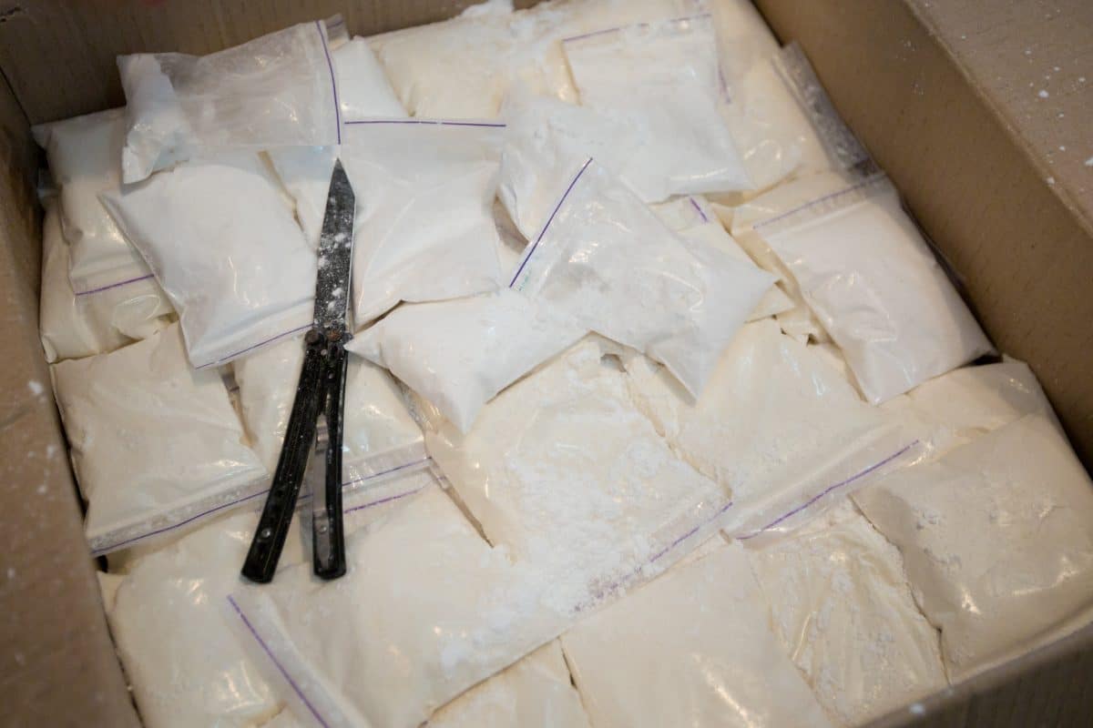 Mehrere Tonnen Kokain in Bananen-Container auf dem Weg nach Europa entdeckt