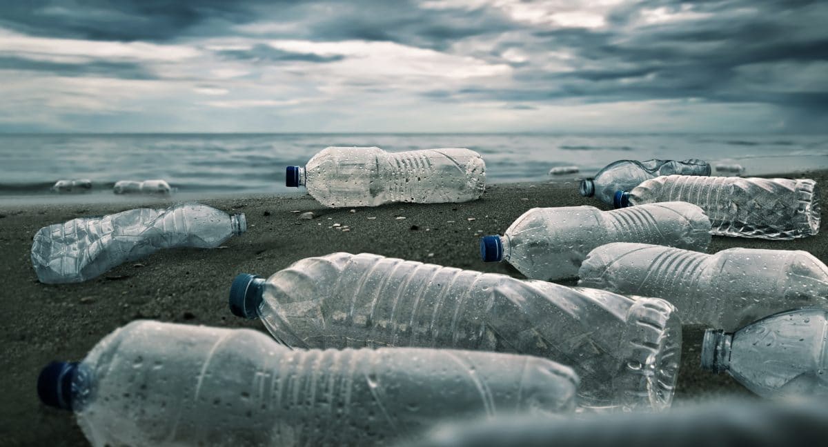 Neue Entdeckung frisst Plastik in Rekordzeit: Ist das die Lösung gegen Umweltverschmutzung?