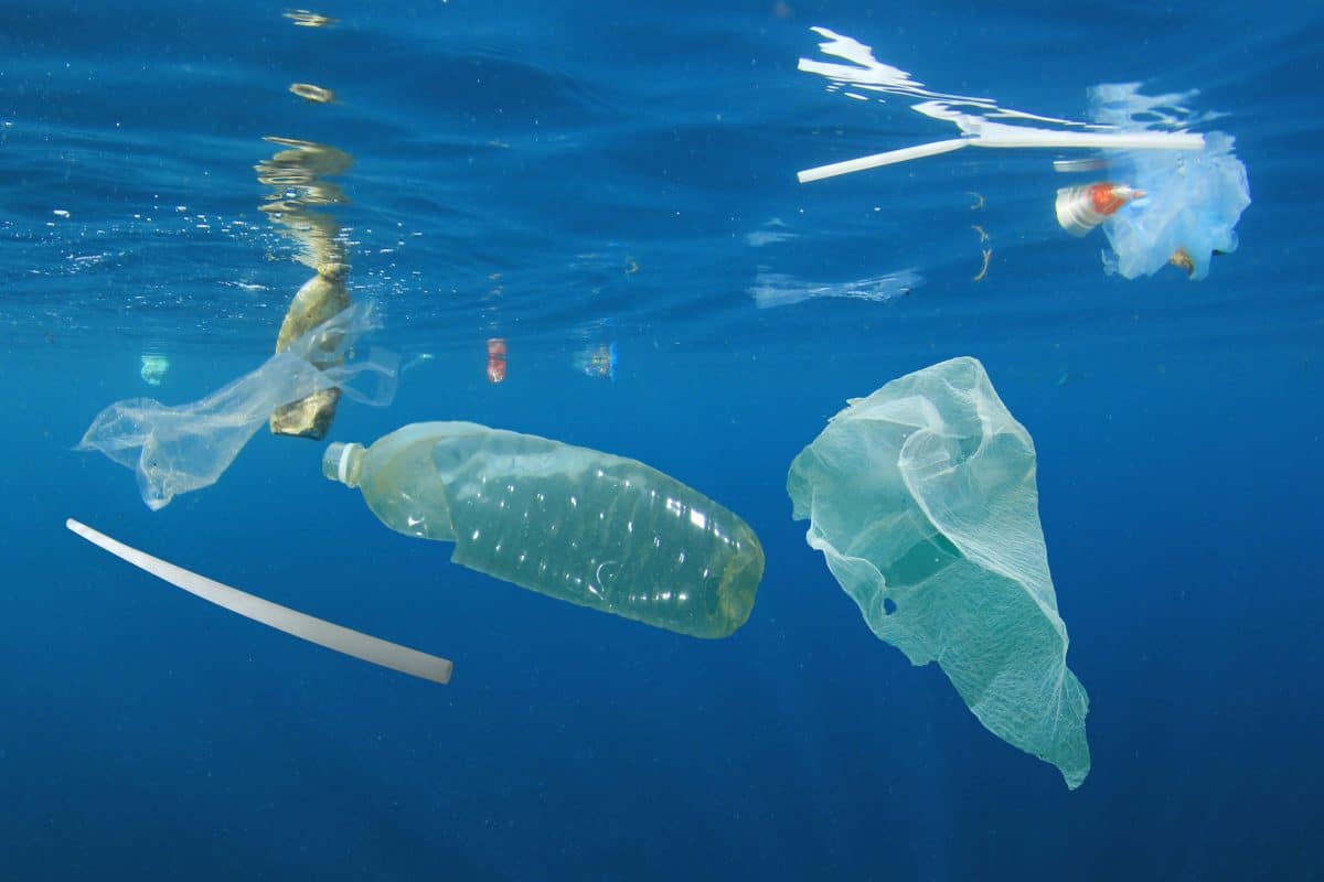 Studie: Jährlich gelangen 230.000 Tonnen Plastikmüll ins Mittelmeer
