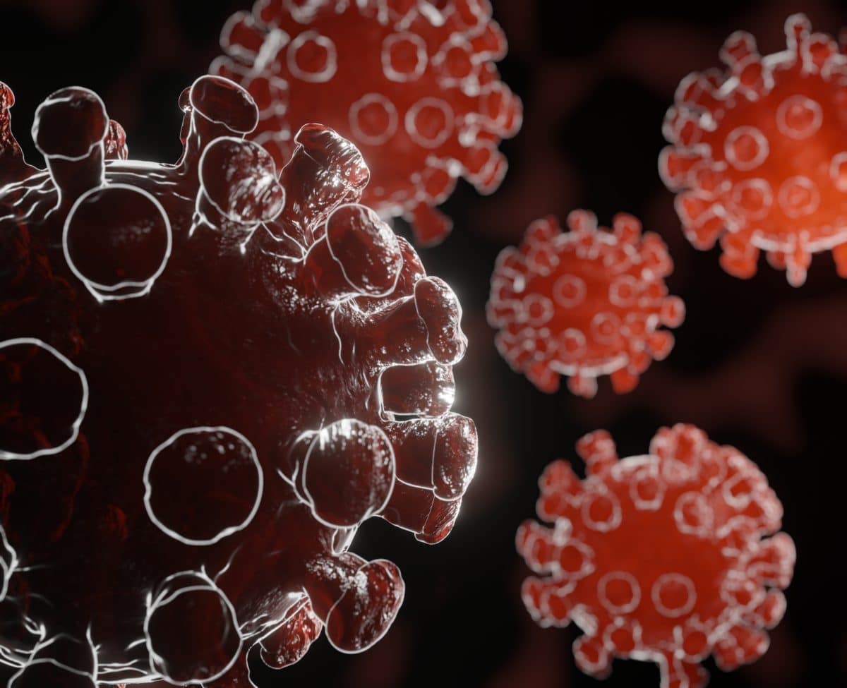 Weitere Studie zweifelt an dauerhafter Immunität nach Corona-Infektion