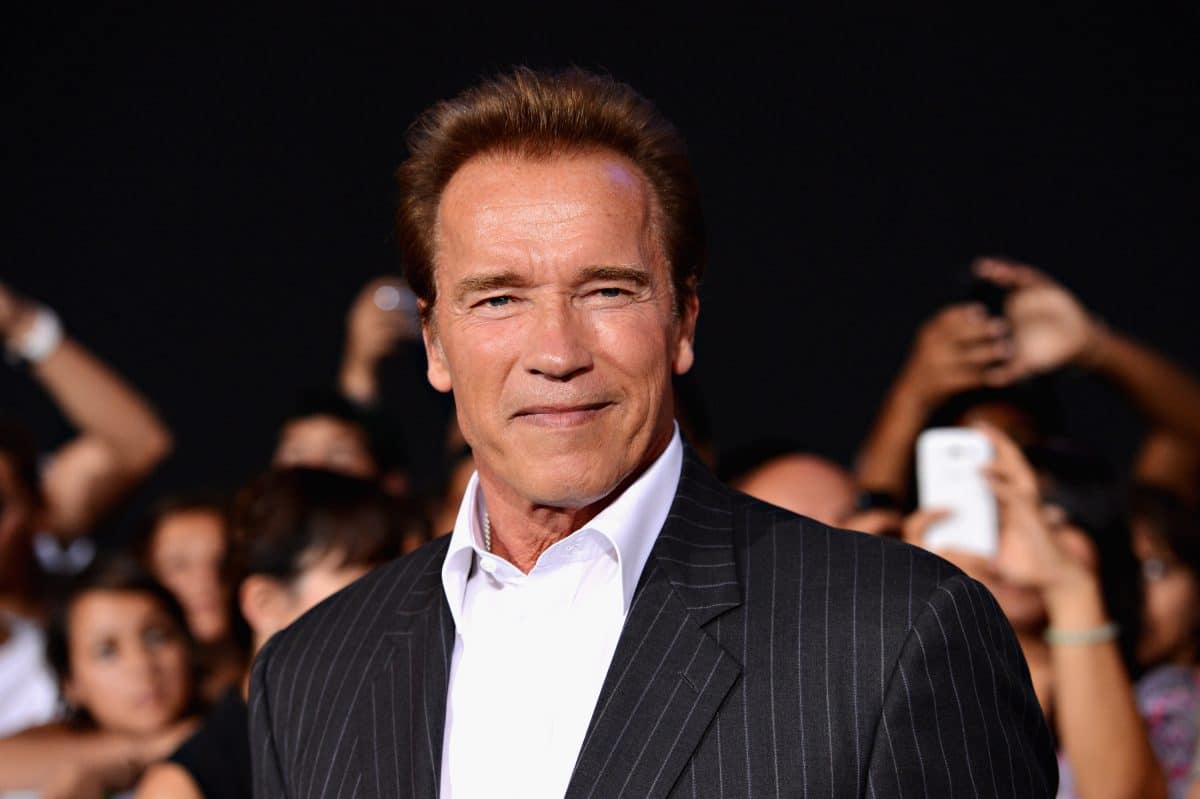 Arnold Schwarzenegger bekommt eigene Spionage-Serie auf Netflix