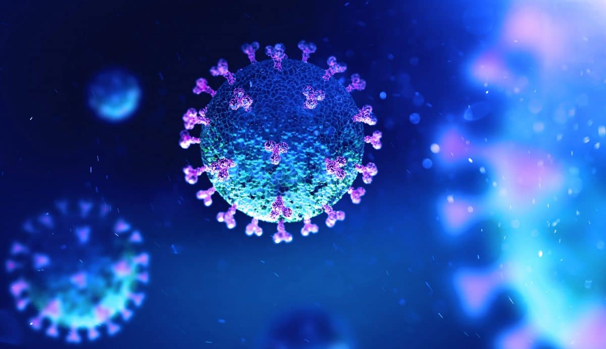 Video zeigt: So schnell dringen Coronaviren in Zellen ein