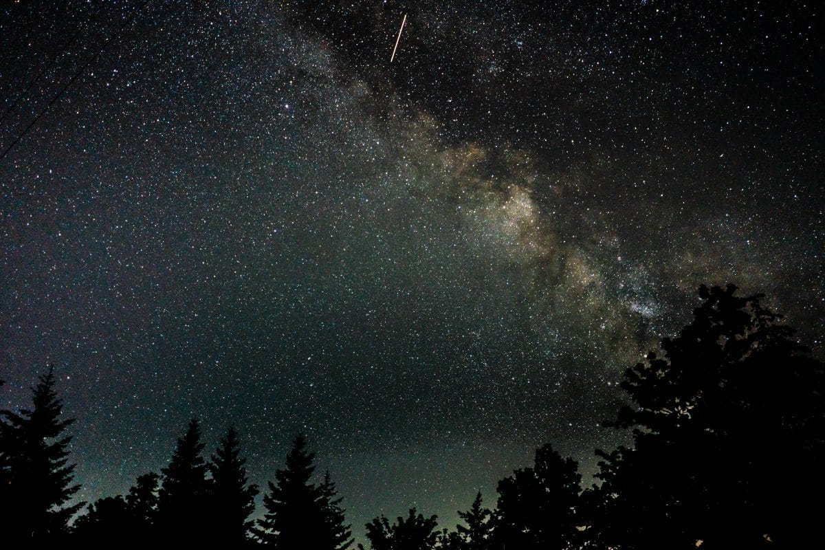 Sternschnuppen-Nacht im November: Heute siehst du die Leoniden