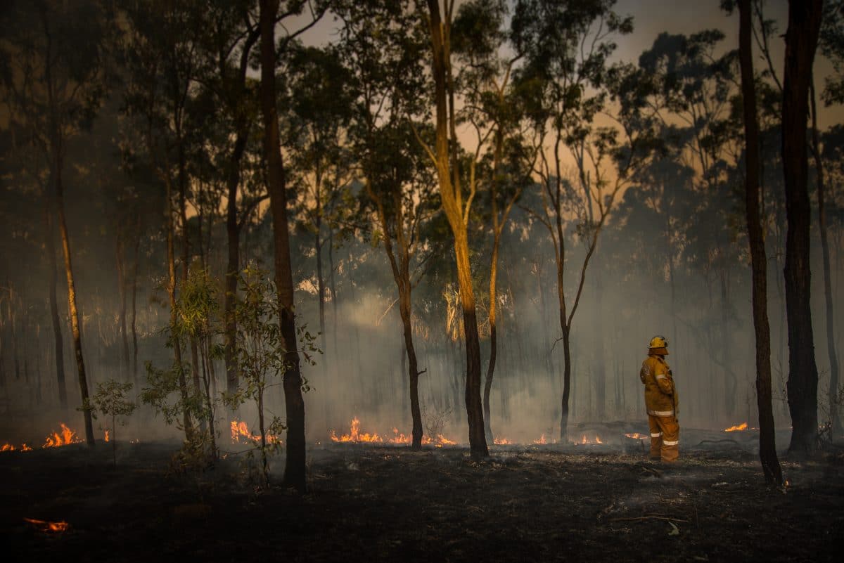 Nach Rekord-Hitze: Über 50 Waldbrände toben in Australien