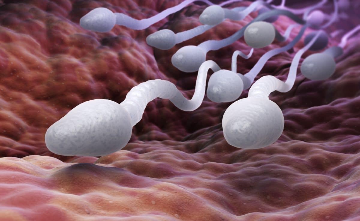 Das sind die 10 häufigsten Mythen rund ums Sperma
