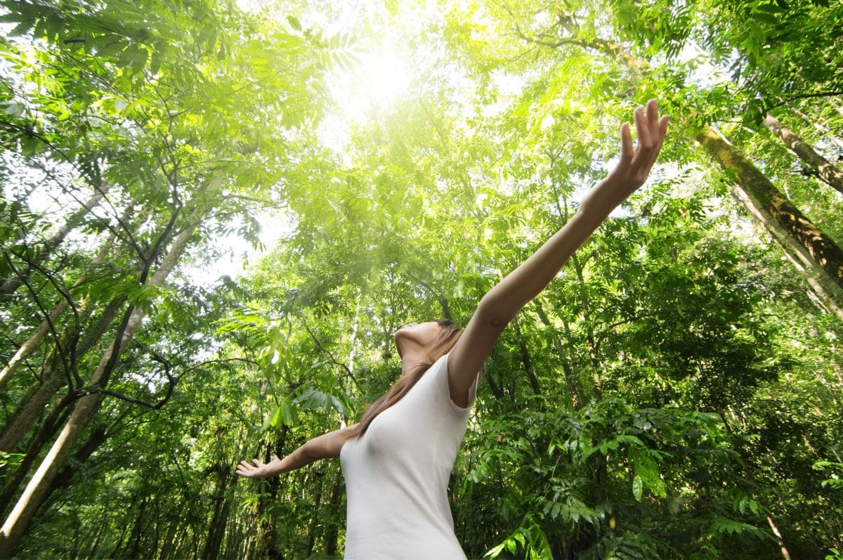 5 Gründe, warum es so gesund ist in den Wald zu gehen