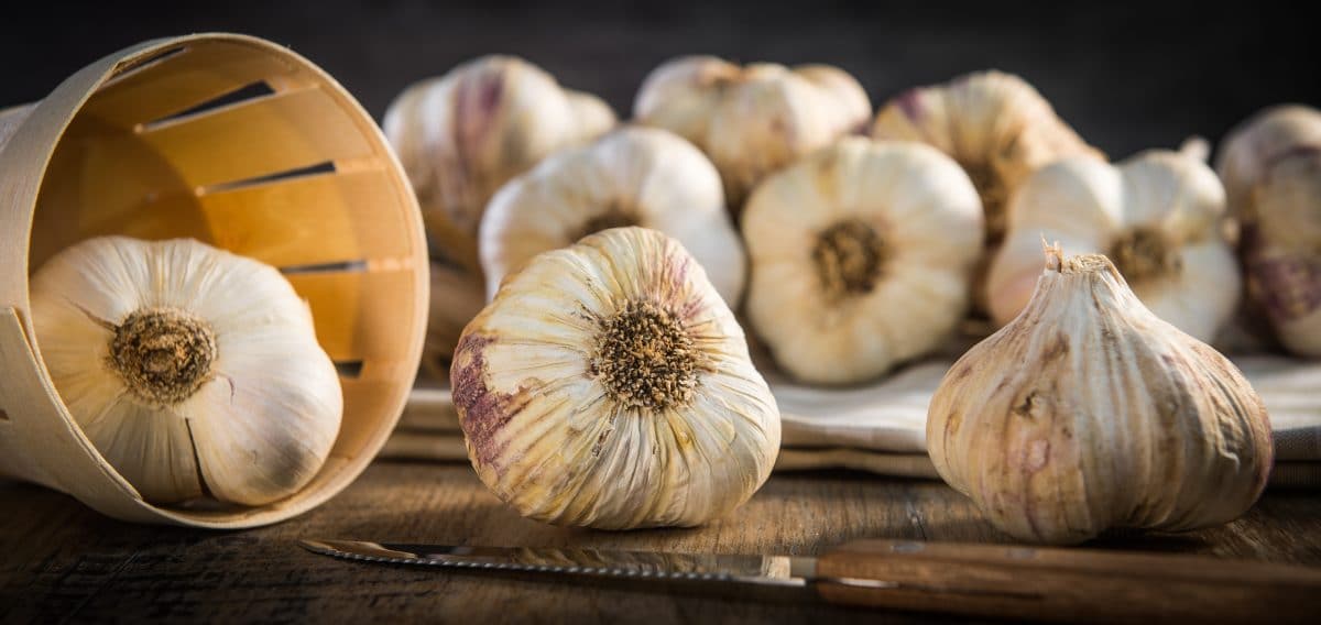 Wundermittel Knoblauch? So gesund ist die stinkende Knolle wirklich