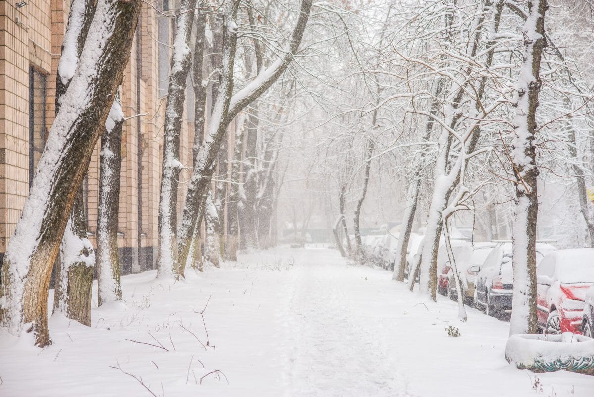 Diese Sternzeichen freuen sich immer extrem über den ersten Schnee