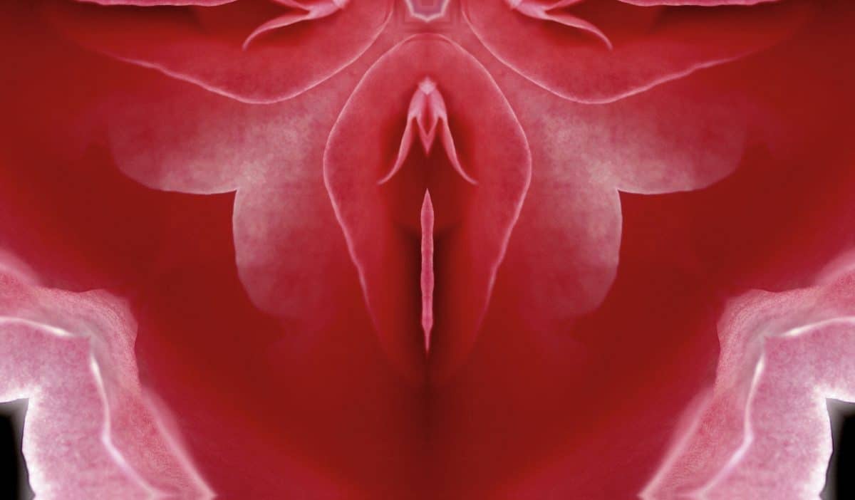 5 Dinge, die jede Frau über ihre Vagina wissen sollte