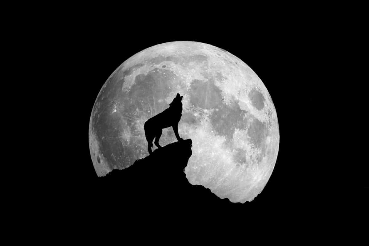 Der erste Vollmond im Januar 2021 ist ein Wolfsmond