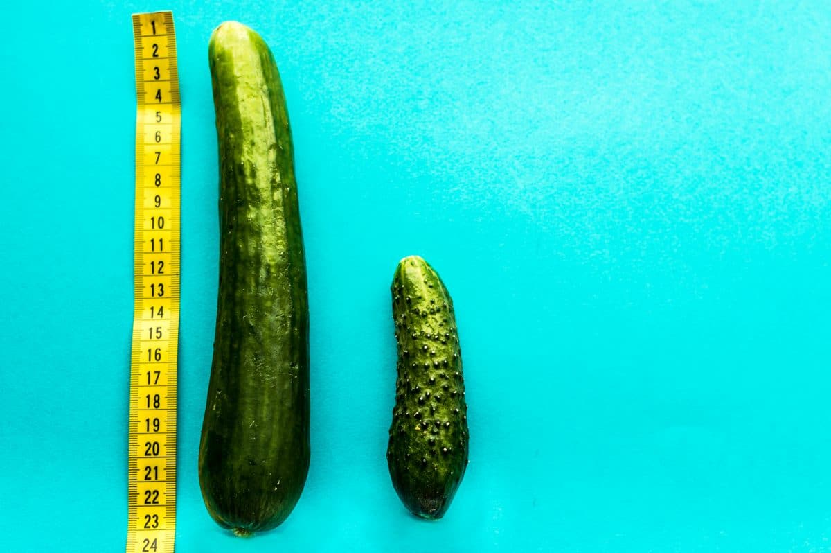10 lustige Penis-Fakten die du garantiert noch nicht kennst