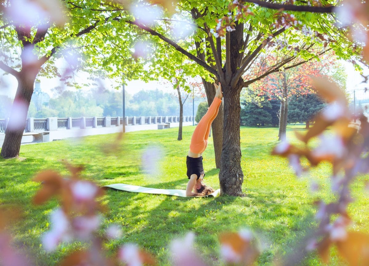 Für diese Sternzeichen stellt sich das Leben im Frühling auf den Kopf