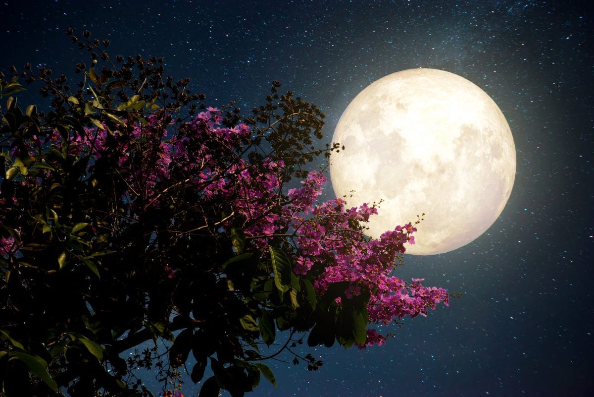 Auf diese 3 Sternzeichen wirkt sich der Vollmond am stärksten aus