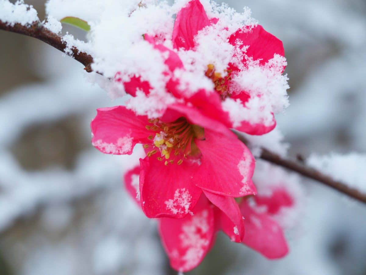 Aprilwetter: Warum spielt das Wetter im April so verrückt?