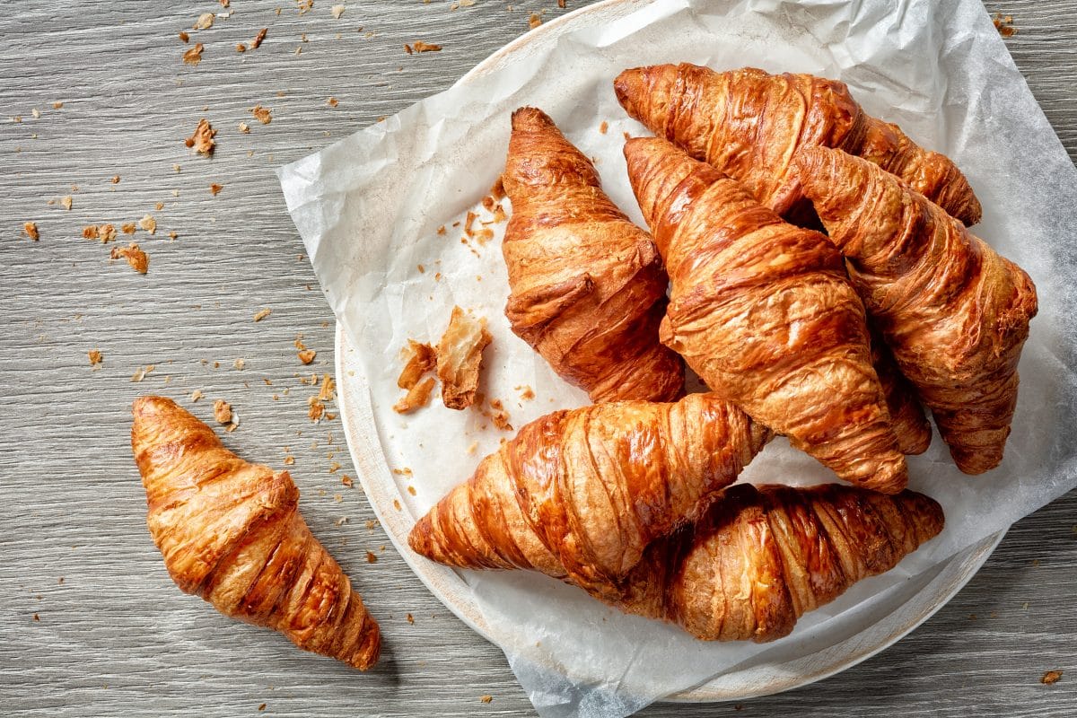 Frau alarmiert Tierschützer wegen mysteriösem Croissant im Baum