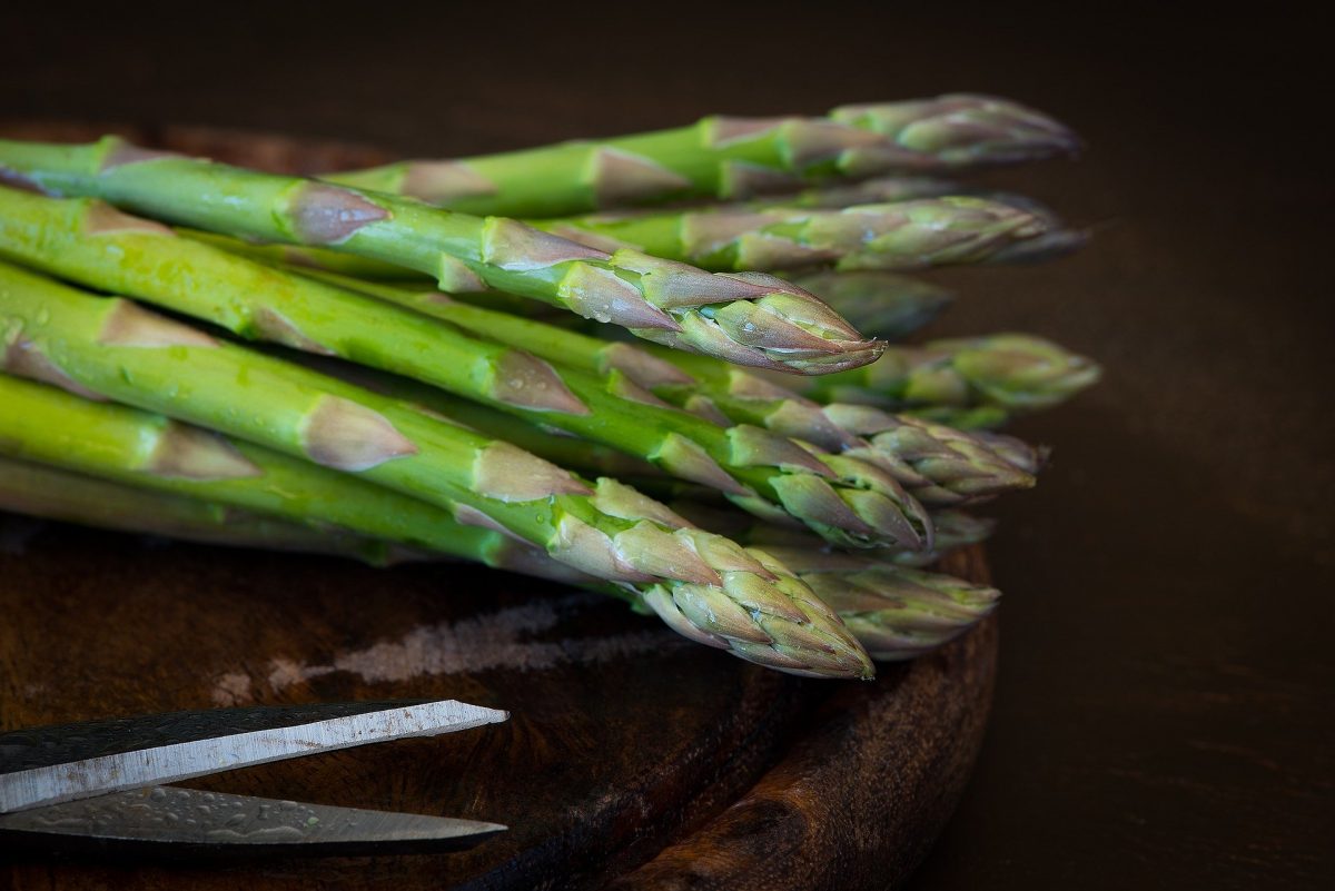 Vorspeise mit grünem Spargel