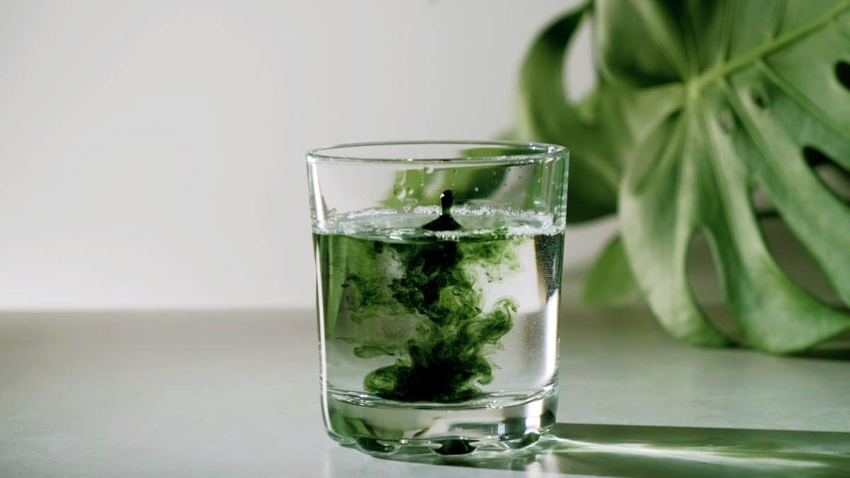 TikTok-Trend: Darum sollten wir Wasser mit Chlorophyll trinken