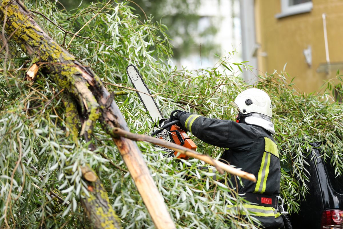 Sturmwarnung im Osten von Österreich: Feuerwehr rät Parks zu meiden