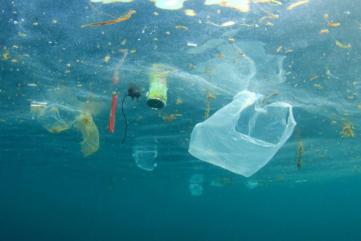 Diese Projekte sollen unsere Ozeane von Plastikmüll befreien