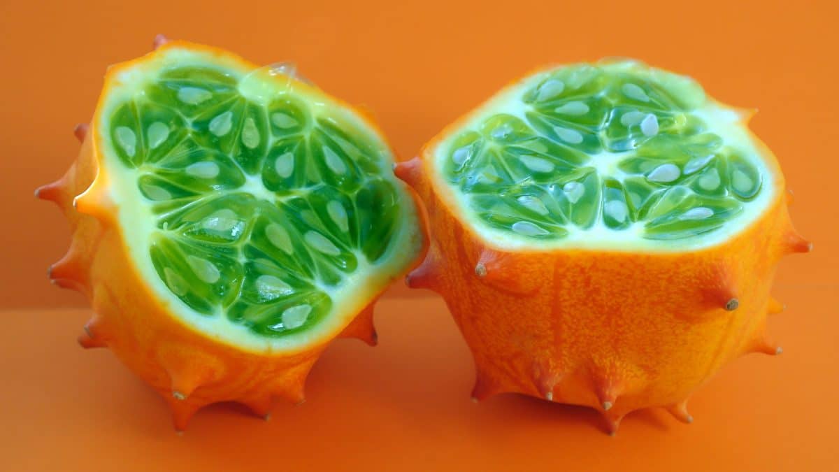 Kiwano-Joghurt