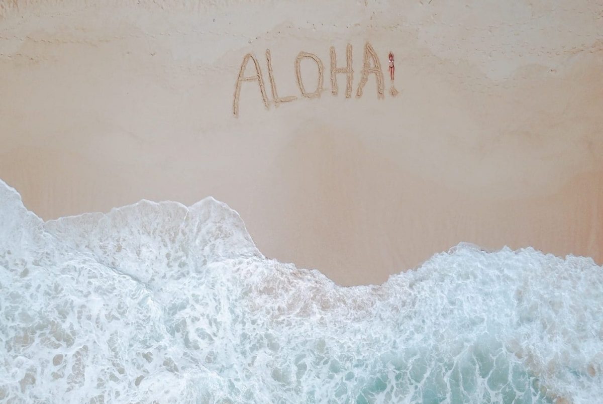 World Ocean Day: 6 Dinge, die du für die Ozeane tun kannst World Ocean Day: 6 Dinge, die du für die Ozeane tun kannst