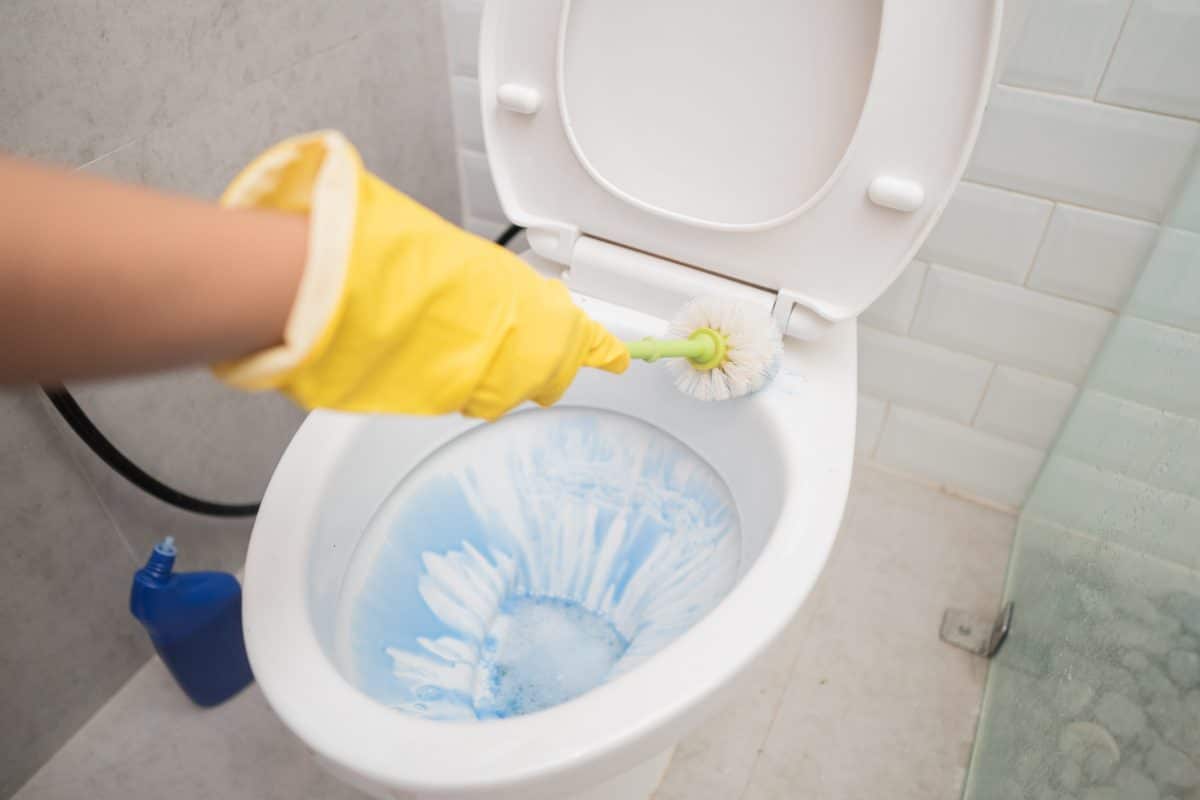 #toiletoverload: Dieser gefährliche Klo-Putztrend erobert TikTok