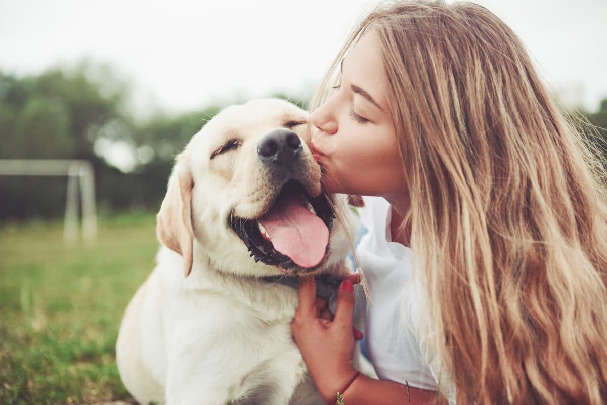 Hunde können den Gefühlszustand von Menschen besser verstehen als gedacht