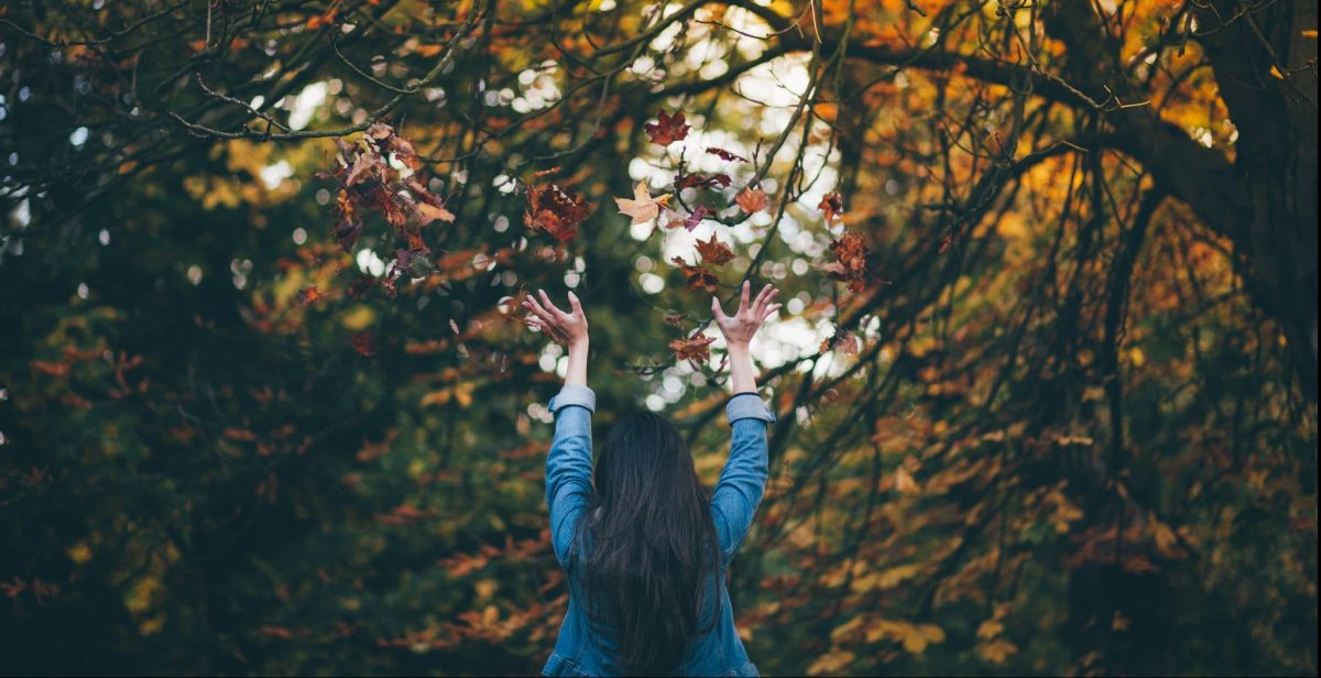 Reinigende Herbstkur?! Warum gerade jetzt die perfekte Jahreszeit dafür ist