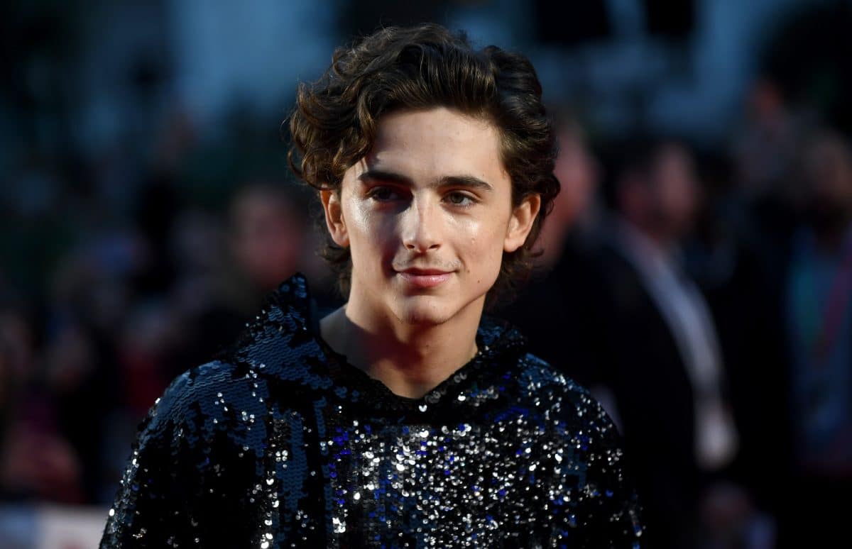 Timothée Chalamet äußert sich erstmals zu Skandal um Co-Star Armie Hammer