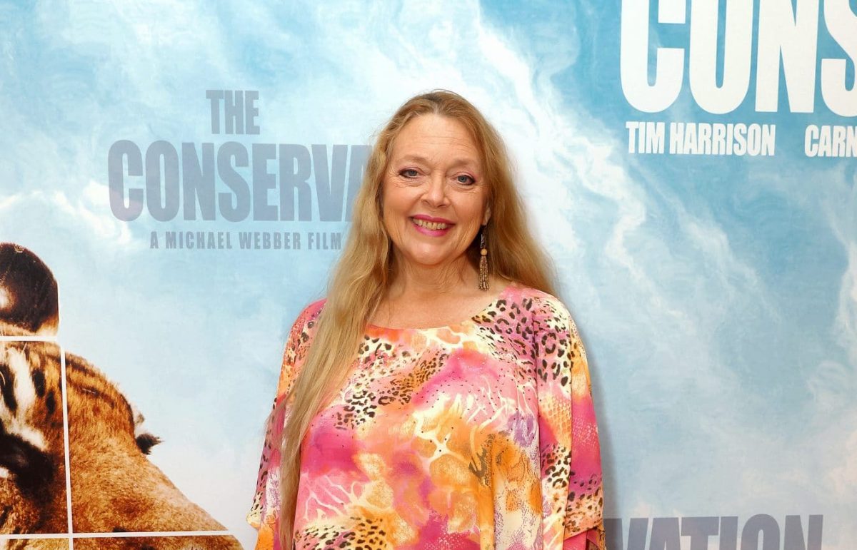 Carole Baskin wettert mit einer eigenen Show gegen „Tiger King“ Carole Baskin wettert mit einer eigenen Show gegen „Tiger King“