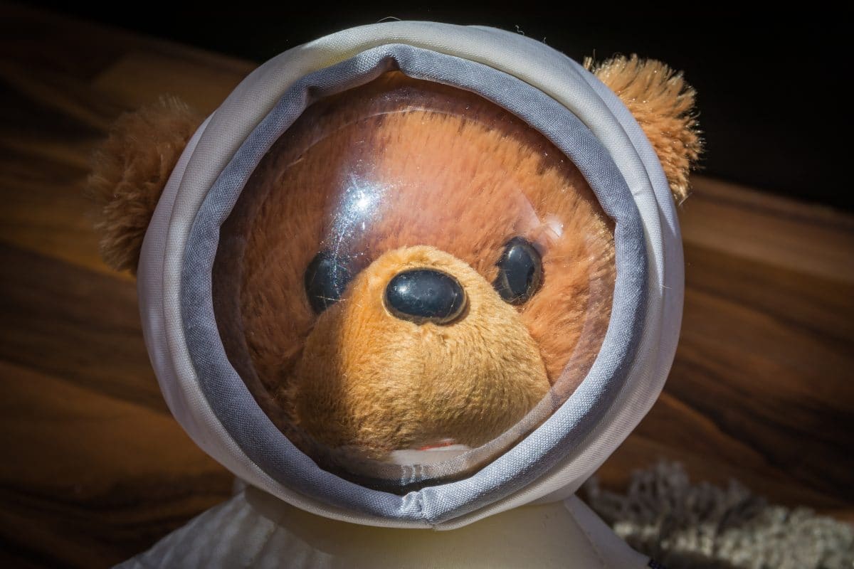 Schüler schicken Teddybär ins All und bekommen Weltall-Selfie
