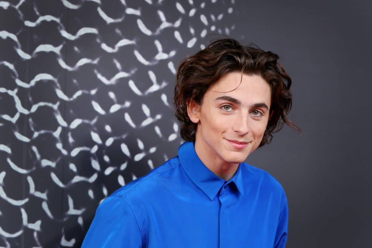 So sieht Timothée Chalamet als neuer Willy Wonka aus