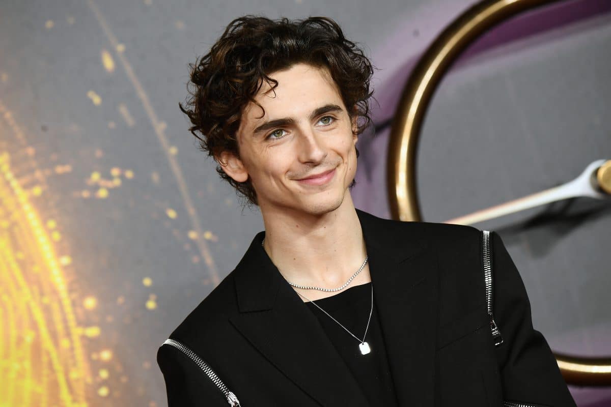 Timothée Chalamet: Karriere-Start als Gaming-YouTuber