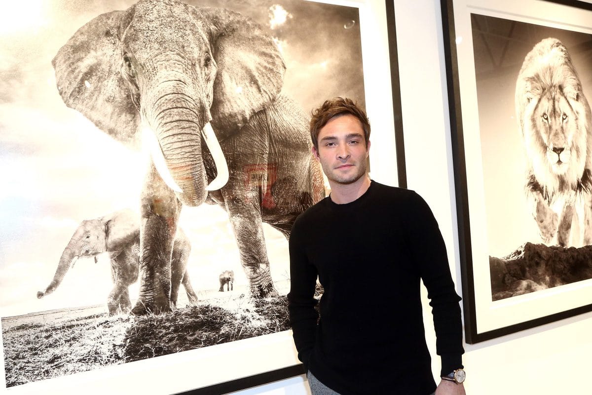 Ed Westwick: „Es ist schwer, sich nicht in Leighton Meester zu verlieben!“